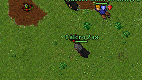 Calcro Zax on screen