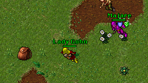 Lady Gohn on screen