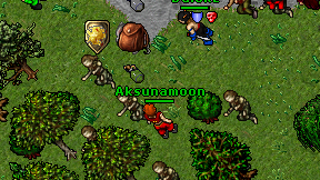 Aksunamoon on screen