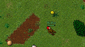 Furud on screen