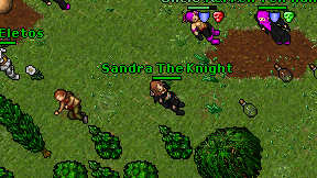 Sandra The Knight on screen