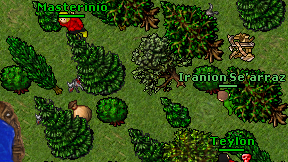 Masterinio on screen