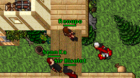 Renupo on screen