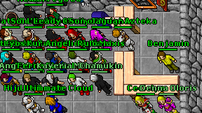 Rulo Maxis on screen