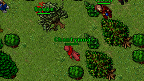 Chantymua on screen