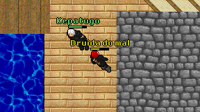 Druida do mal on screen