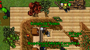 Knighcik'Sumo on screen