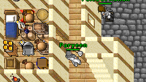 Paryeen on screen