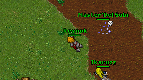 Reynok on screen