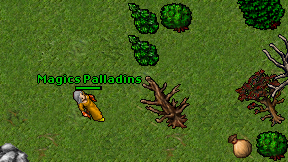 Magics Palladins on screen