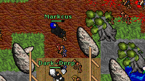 Markcus on screen