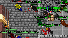 Tjallarn on screen