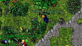Senhor Foguinho on screen