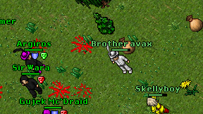 Brother avax on screen