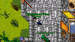 Druida of Fox on screen