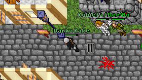 Darka Kake on screen