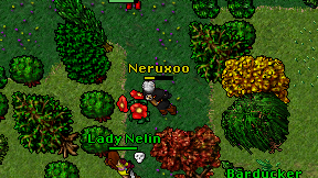 Neruxoo on screen