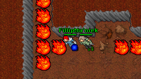 Fillipex on screen