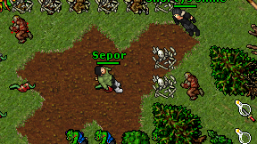 Sepor on screen