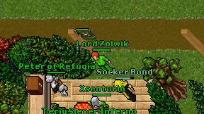 Lord Zolwik on screen