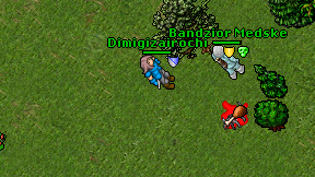Dimigizairochi on screen