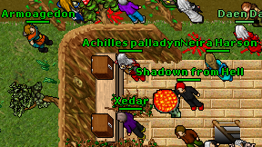 Xedar on screen