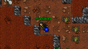 Nandito on screen