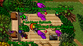 Panther Splash on screen