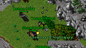 Vazdah Ribei on screen