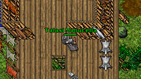 Talasi Manucella on screen