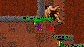 Hippoppottamus on screen