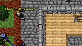 Master Koszarek on screen