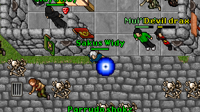Sakus Widy on screen