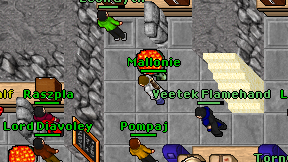 Mallonie on screen