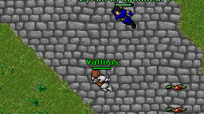Vallnas on screen