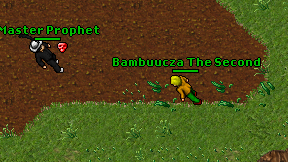 Bambuucza The Second on screen