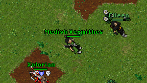 Medivh Vermithes on screen