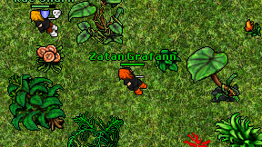 Zatan Grafann on screen