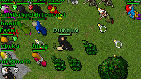 Dumdum on screen