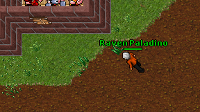 Raven Paladino on screen