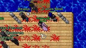 Mivach on screen