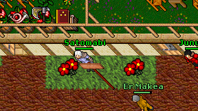 Satomabi on screen