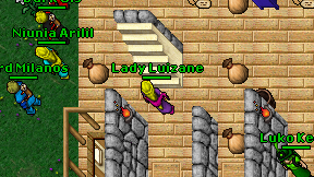 Lady Luizane on screen