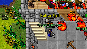 Royall Areon on screen