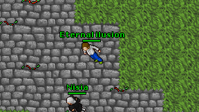 Eternal ilusion on screen