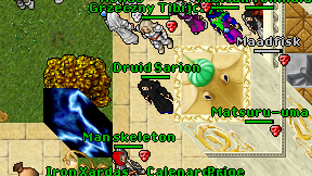 Druid Sarion on screen