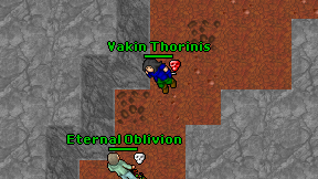 Vakin Thorinis on screen