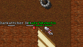 Avanfin on screen