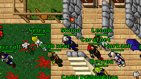 Skiloo on screen