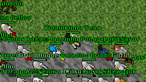 Vidalokinha Team on screen